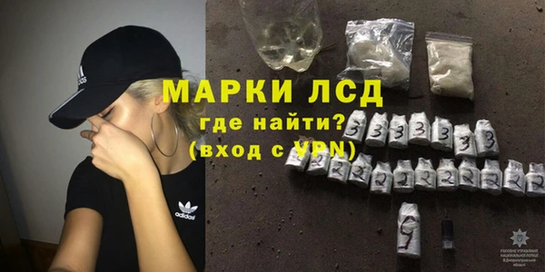 индика Сатка